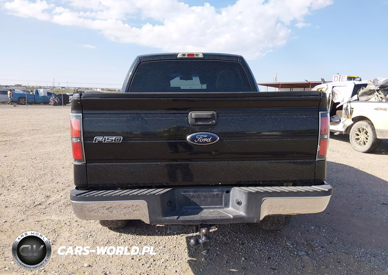 2010 Ford F-150 Xlt VIN:1FTEW1E89AFC05159 - 16