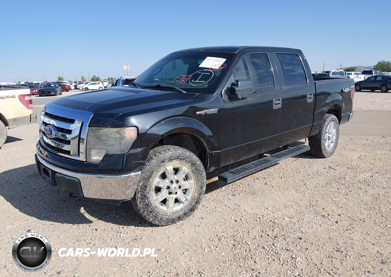 2010 Ford F-150 Xlt VIN:1FTEW1E89AFC05159 - 2