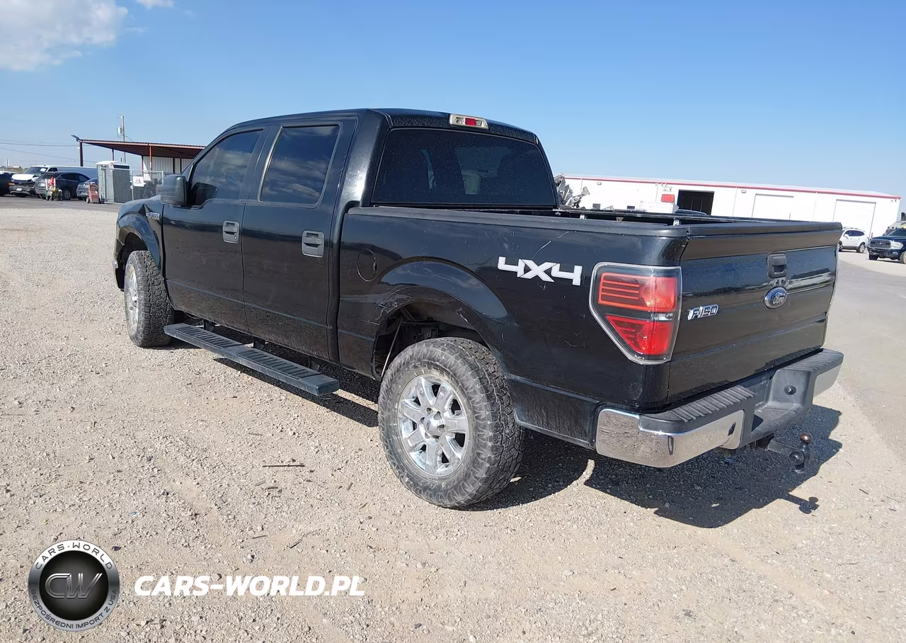 2010 Ford F-150 Xlt VIN:1FTEW1E89AFC05159 - 3