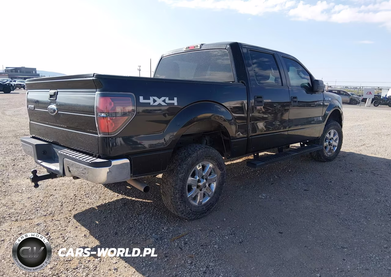 2010 Ford F-150 Xlt VIN:1FTEW1E89AFC05159 - 4