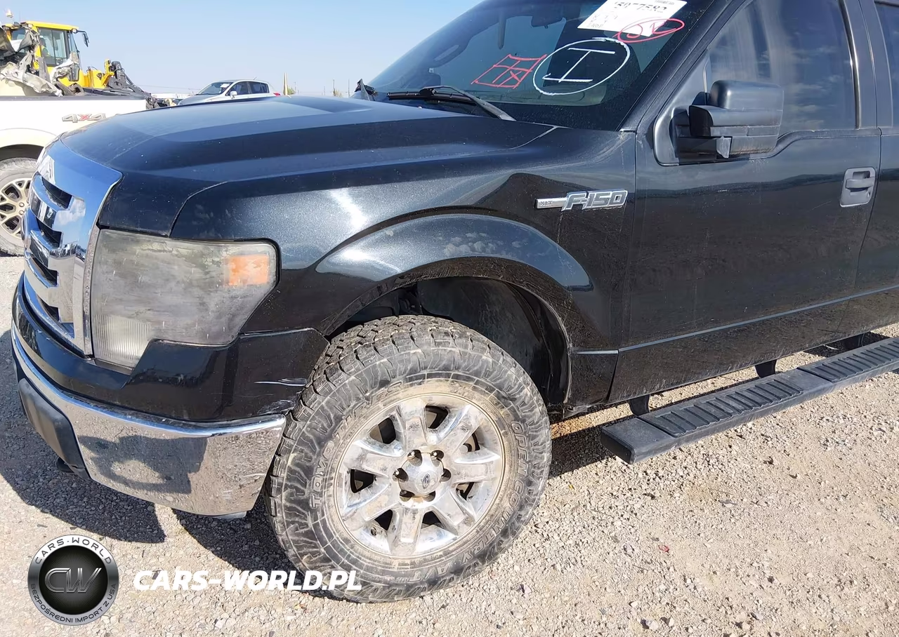 2010 Ford F-150 Xlt VIN:1FTEW1E89AFC05159 - 6