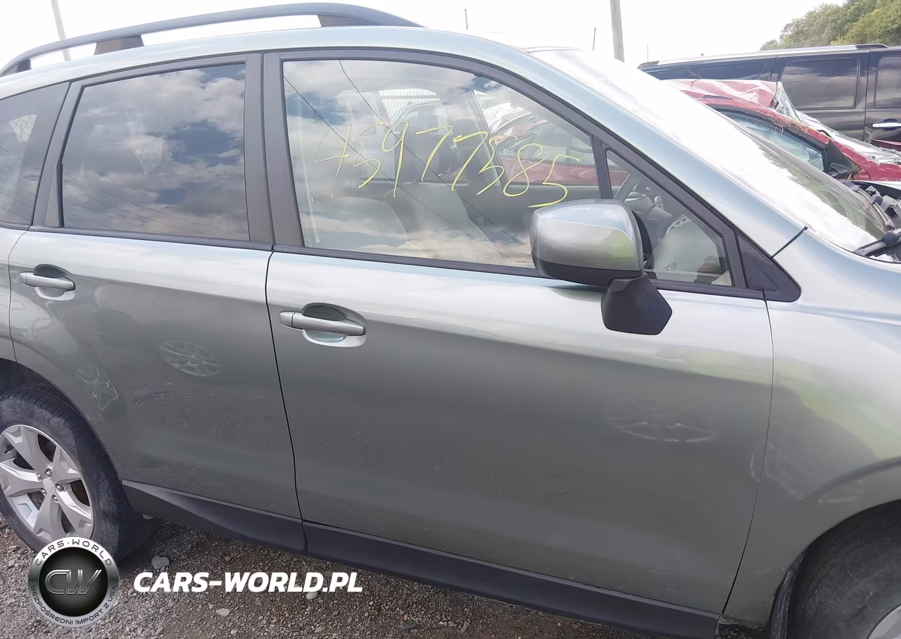 2016 Subaru Forester 2.5I Premium VIN:JF2SJAFC5GH482572 - 13