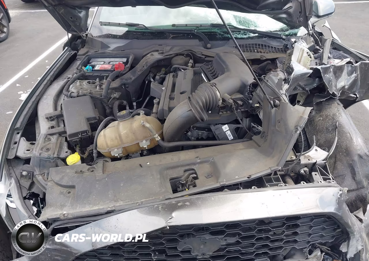 2015 Ford Mustang Ecoboost VIN:1FA6P8TH7F5363418 - 10