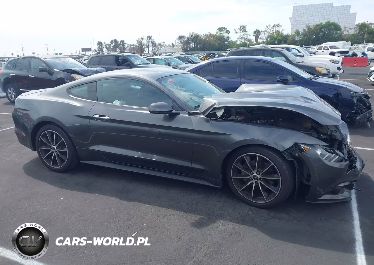 2015 Ford Mustang Ecoboost VIN:1FA6P8TH7F5363418 - 13