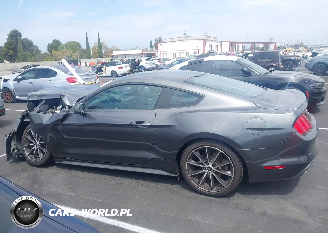 2015 Ford Mustang Ecoboost VIN:1FA6P8TH7F5363418 - 14