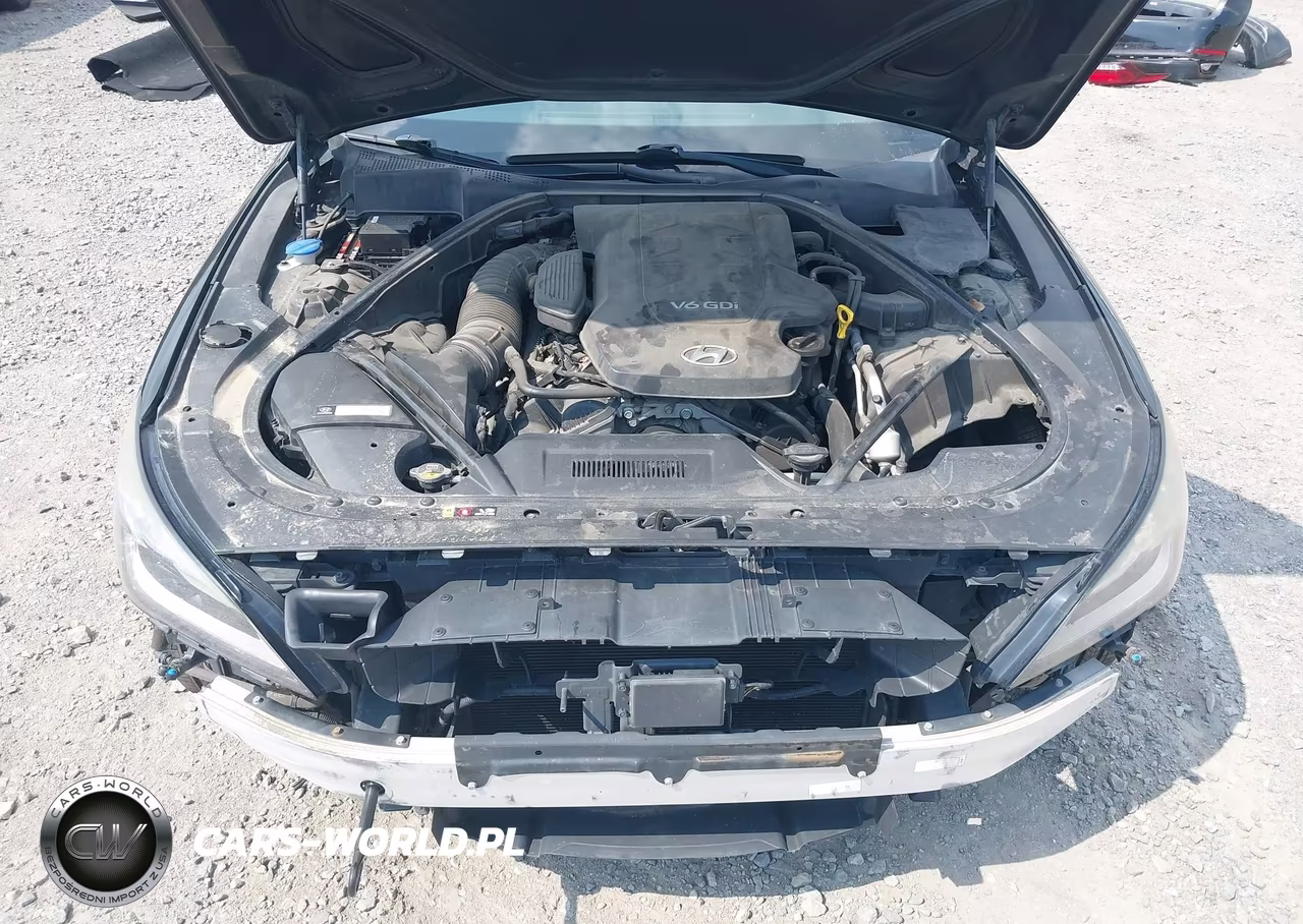 2015 Hyundai Genesis 3.8 VIN:KMHGN4JE0FU039699 - 10