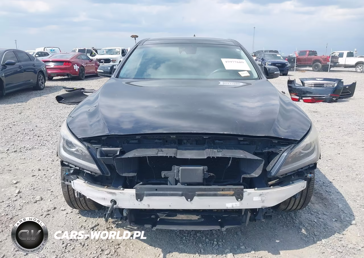 2015 Hyundai Genesis 3.8 VIN:KMHGN4JE0FU039699 - 13