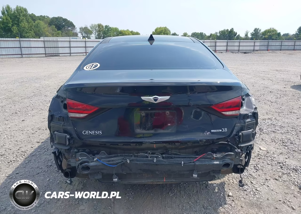 2015 Hyundai Genesis 3.8 VIN:KMHGN4JE0FU039699 - 17