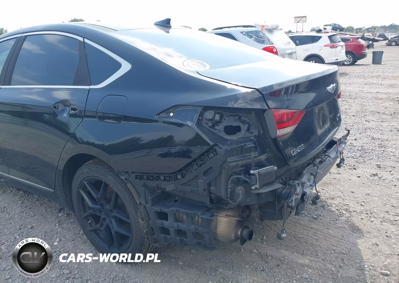 2015 Hyundai Genesis 3.8 VIN:KMHGN4JE0FU039699 - 19