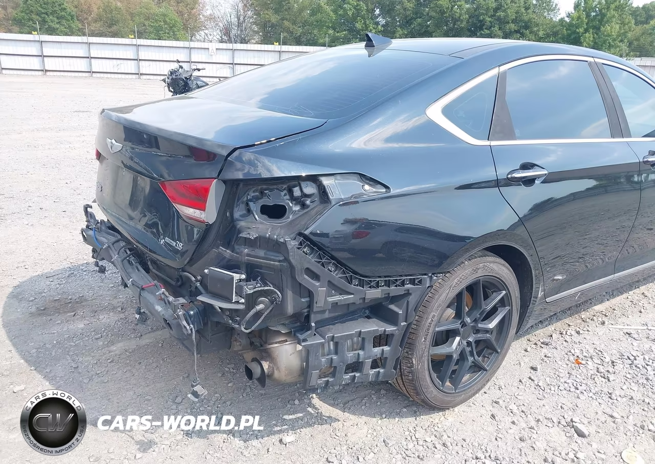 2015 Hyundai Genesis 3.8 VIN:KMHGN4JE0FU039699 - 20