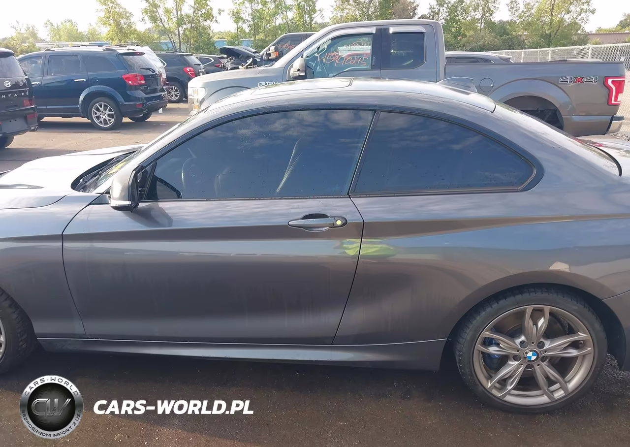 2015 BMW M235 xDrive VIN:WBA1J9C56FVX99319 - 14