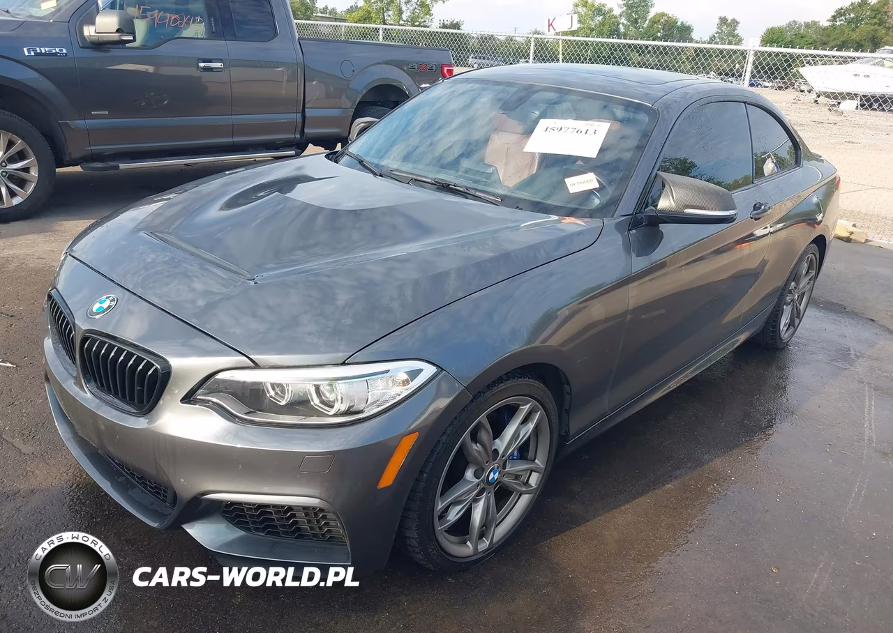 2015 BMW M235 xDrive VIN:WBA1J9C56FVX99319 - 2
