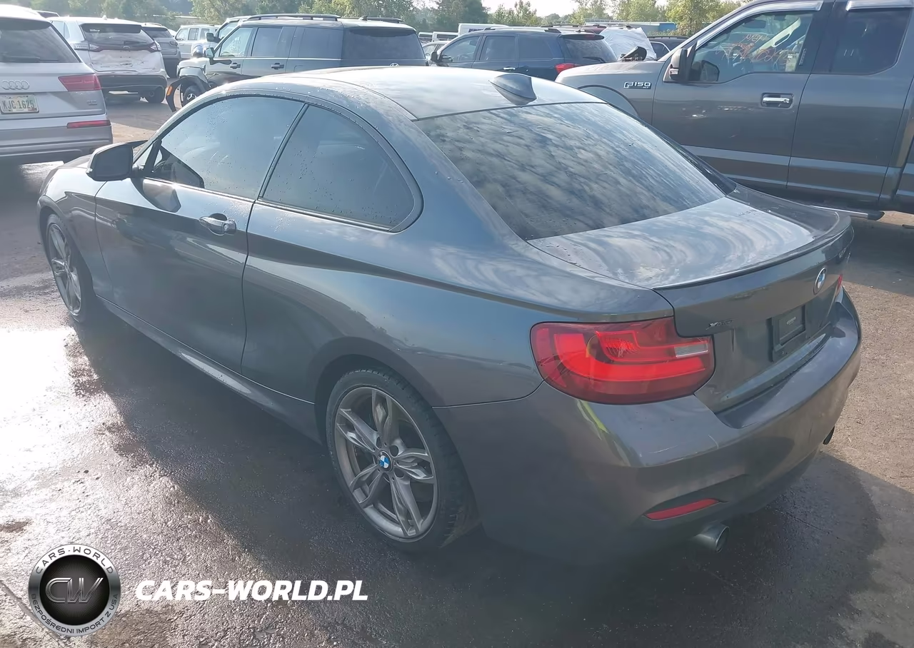 2015 BMW M235 xDrive VIN:WBA1J9C56FVX99319 - 3