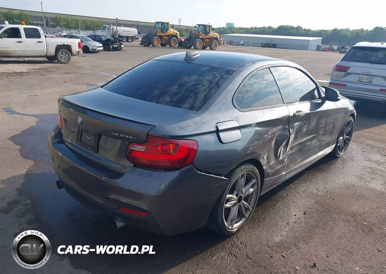 2015 BMW M235 xDrive VIN:WBA1J9C56FVX99319 - 4
