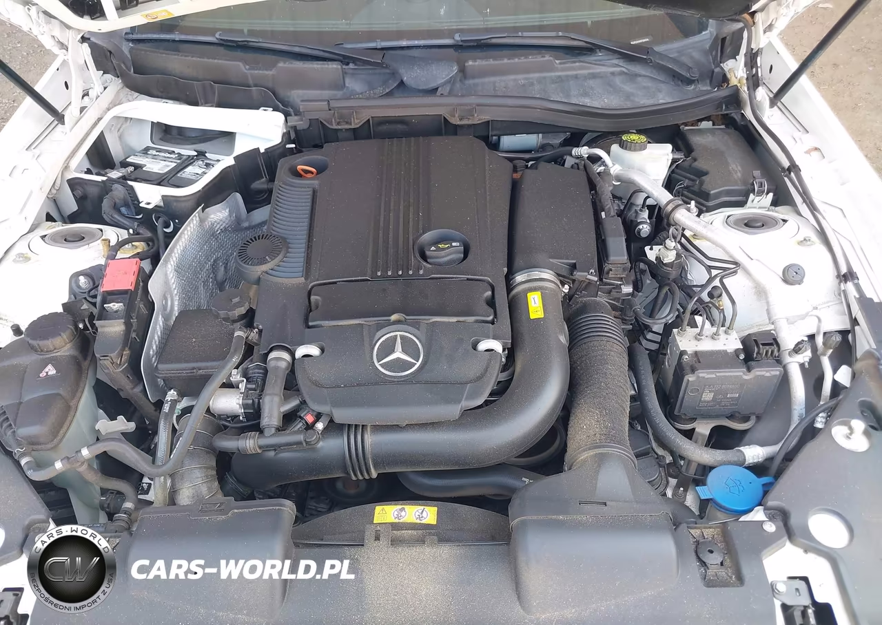 2014 Mercedes-Benz Slk 250 VIN:WDDPK4HA0EF084246 - 10