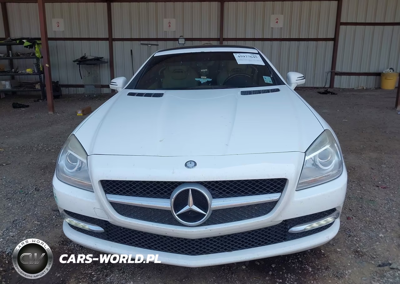 2014 Mercedes-Benz Slk 250 VIN:WDDPK4HA0EF084246 - 12