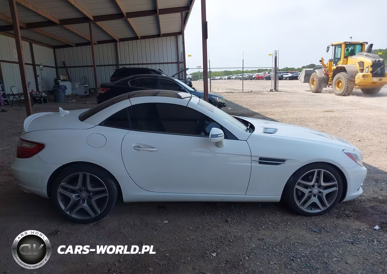 2014 Mercedes-Benz Slk 250 VIN:WDDPK4HA0EF084246 - 13