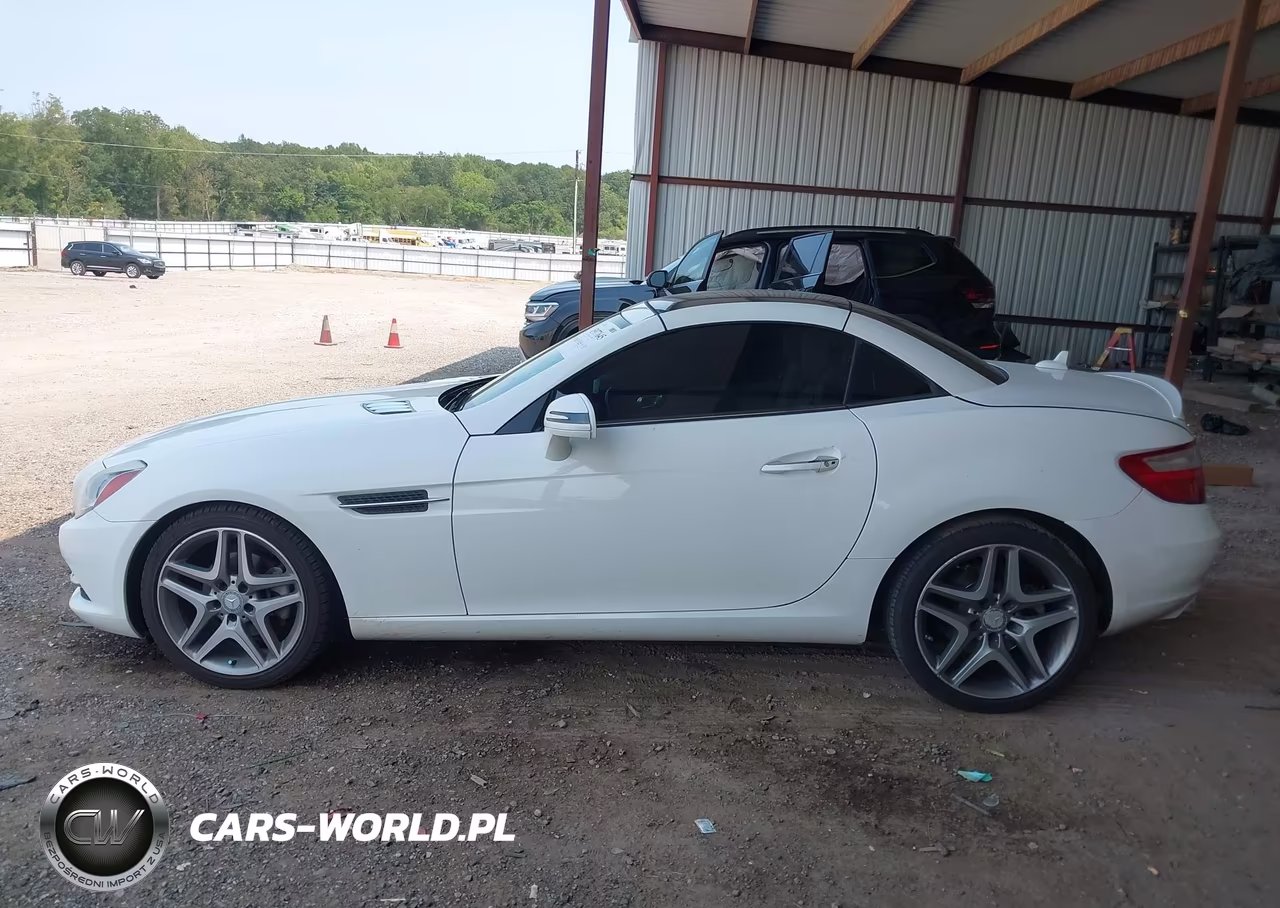 2014 Mercedes-Benz Slk 250 VIN:WDDPK4HA0EF084246 - 14