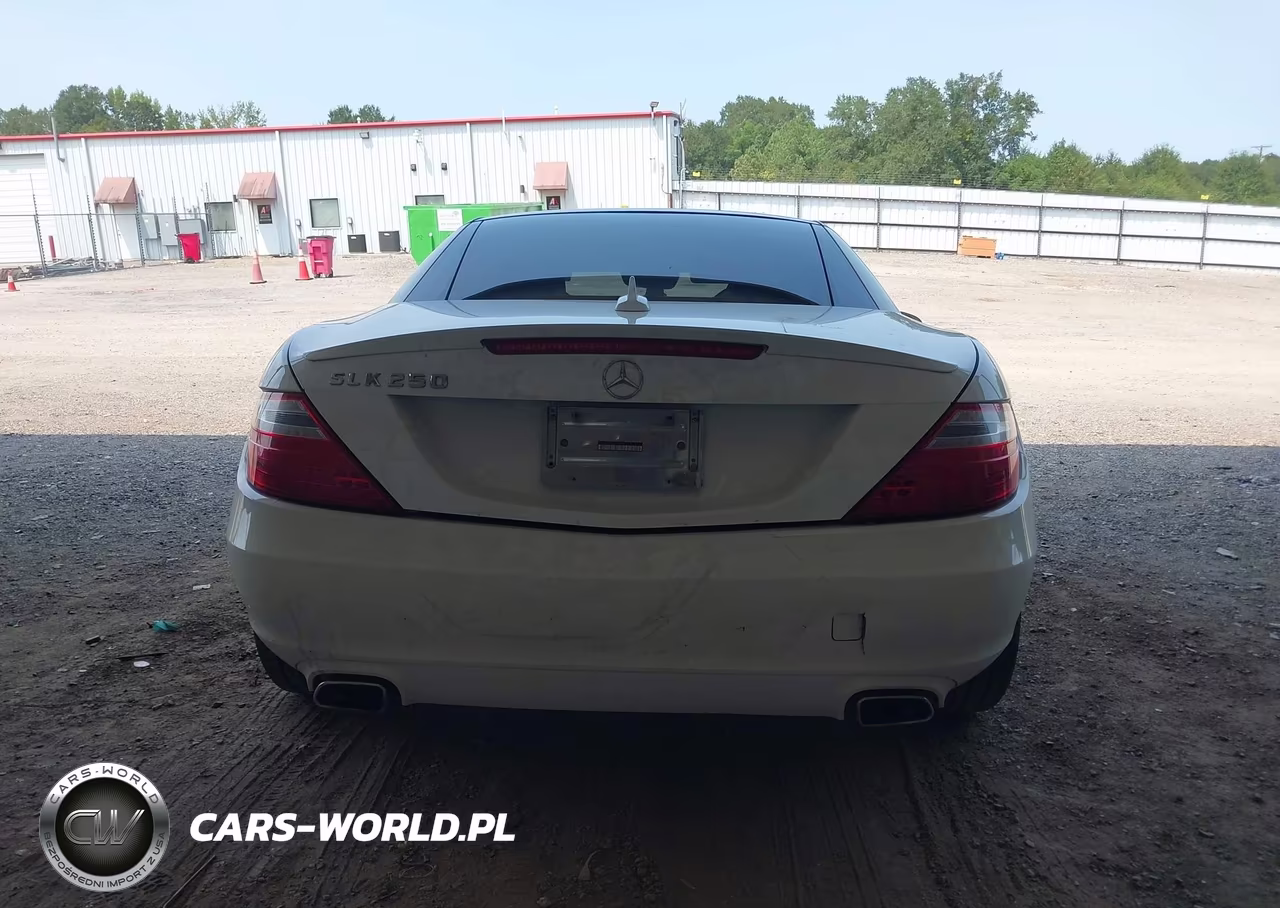 2014 Mercedes-Benz Slk 250 VIN:WDDPK4HA0EF084246 - 16