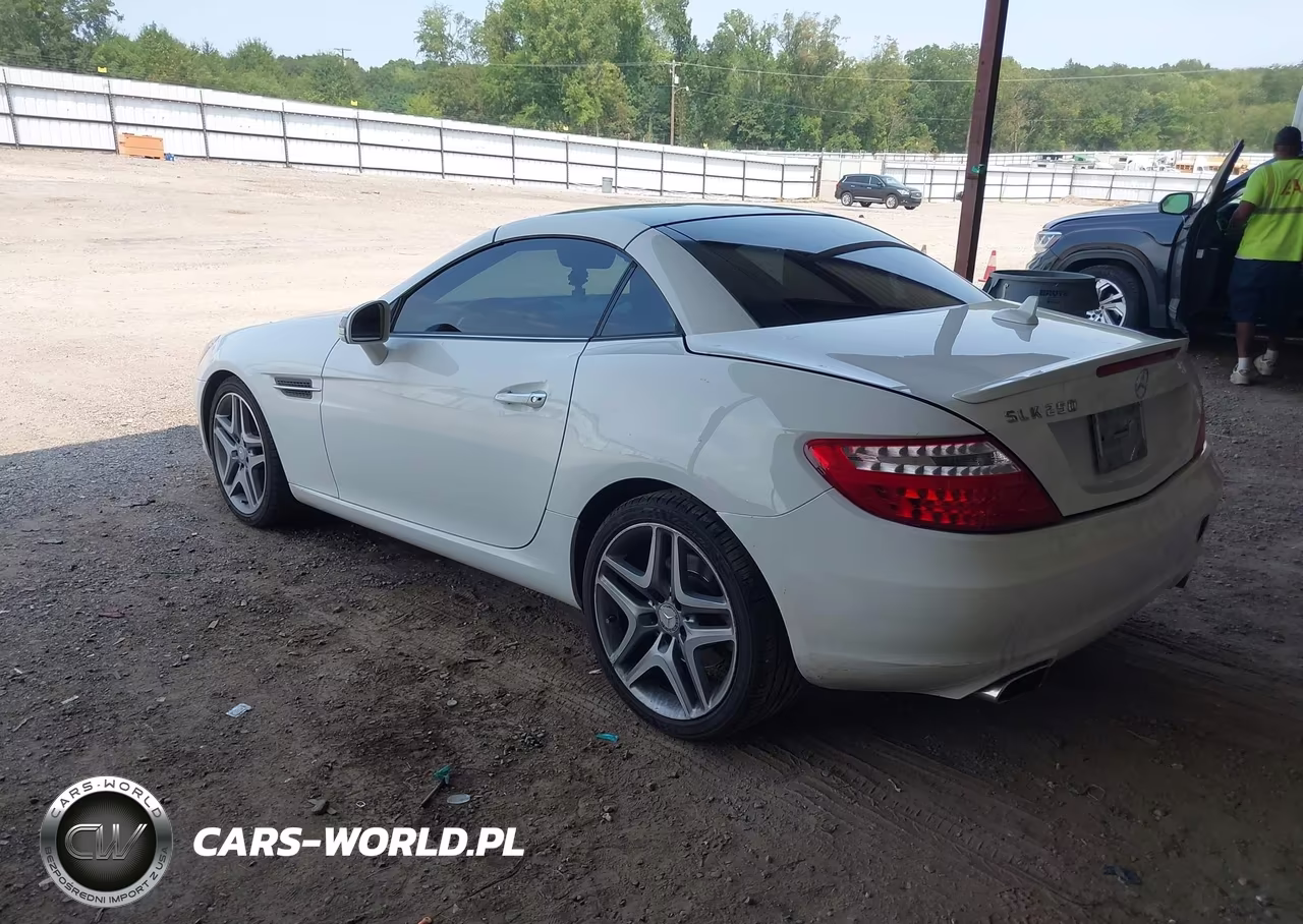2014 Mercedes-Benz Slk 250 VIN:WDDPK4HA0EF084246 - 3