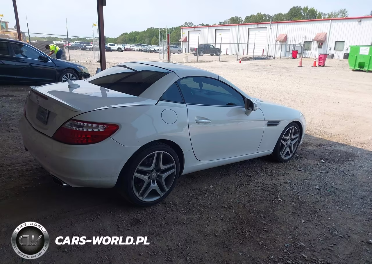 2014 Mercedes-Benz Slk 250 VIN:WDDPK4HA0EF084246 - 4