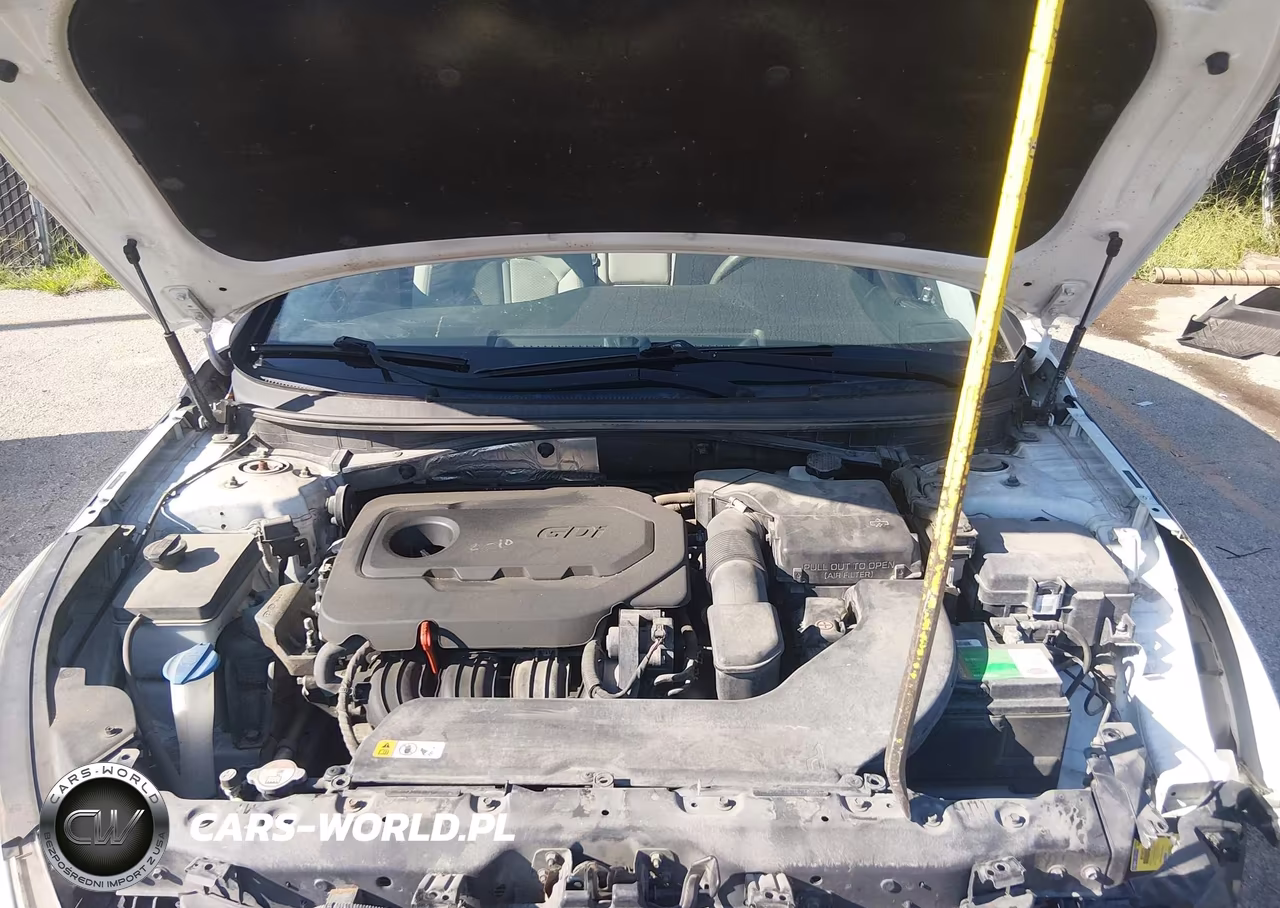 2016 Hyundai Sonata Se VIN:5NPE24AFXGH266018 - 10