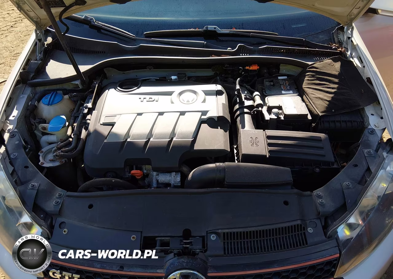2010 Volkswagen Jetta Tdi VIN:3VWPL7AJ6AM647441 - 10