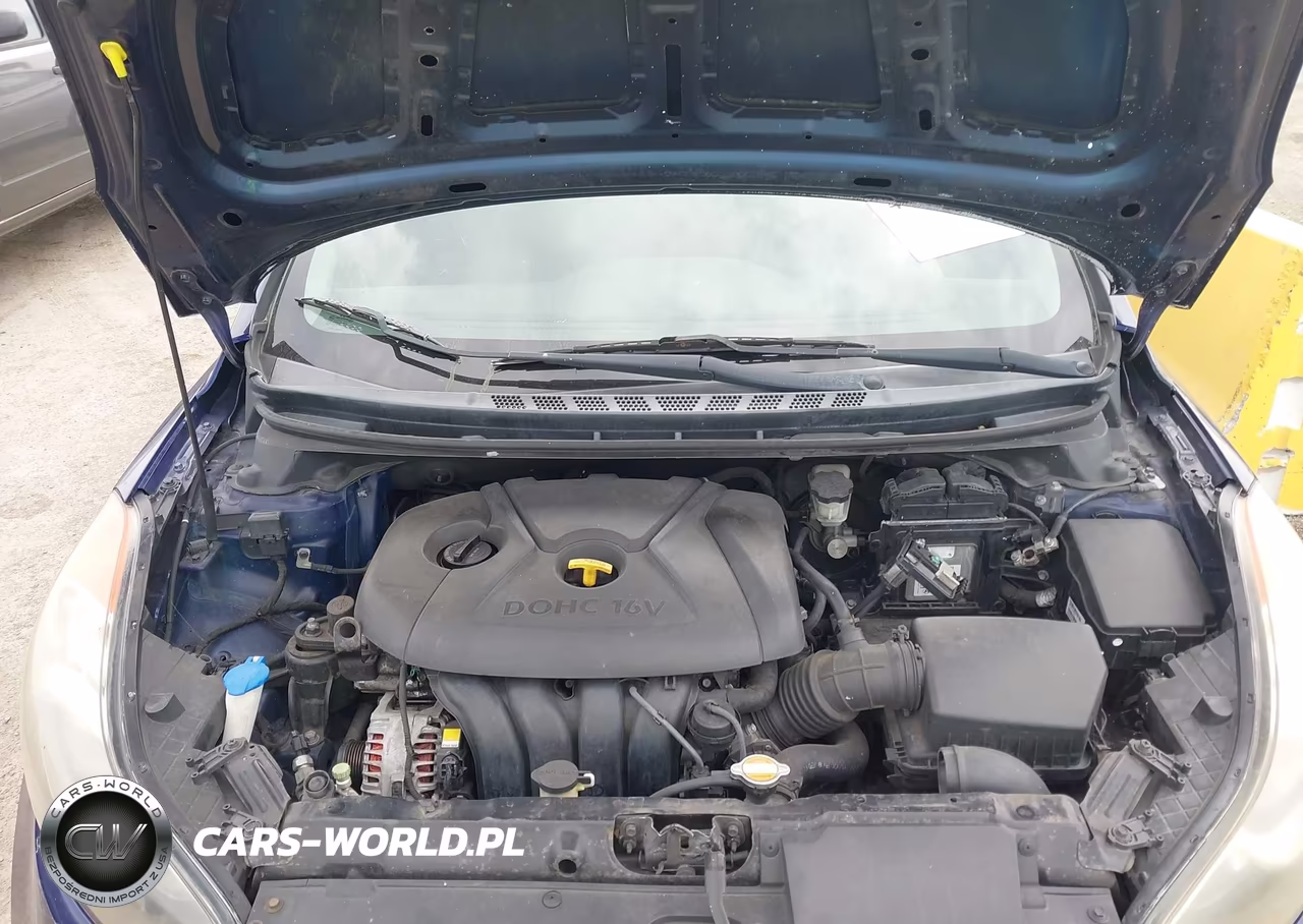 2012 Hyundai Elantra Gls VIN:5NPDH4AE2CH095163 - 10