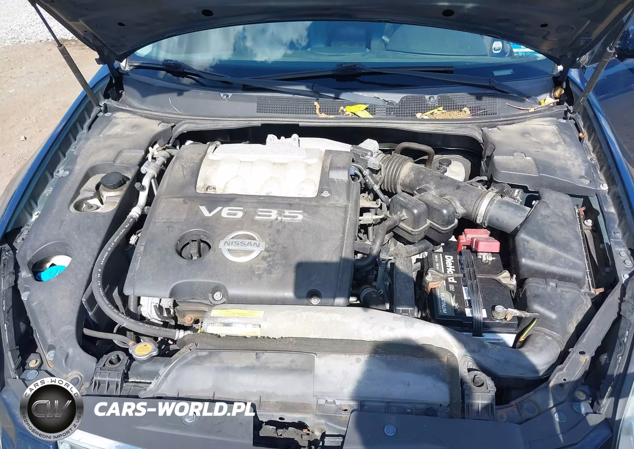 2008 Nissan Maxima 3.5 Se VIN:1N4BA41E28C822497 - 10