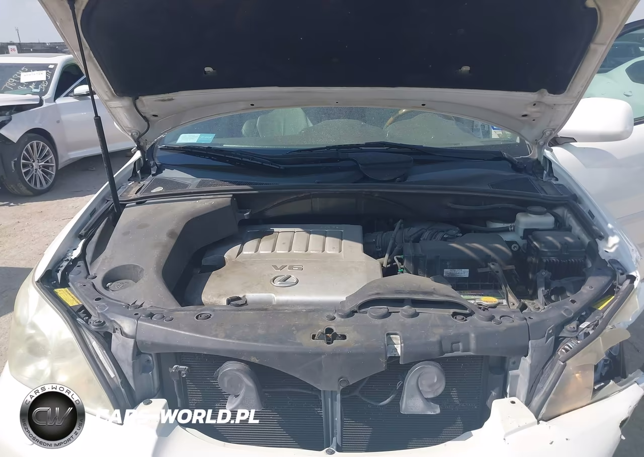 2009 Lexus Rx 350 VIN:2T2GK31U69C075635 - 10