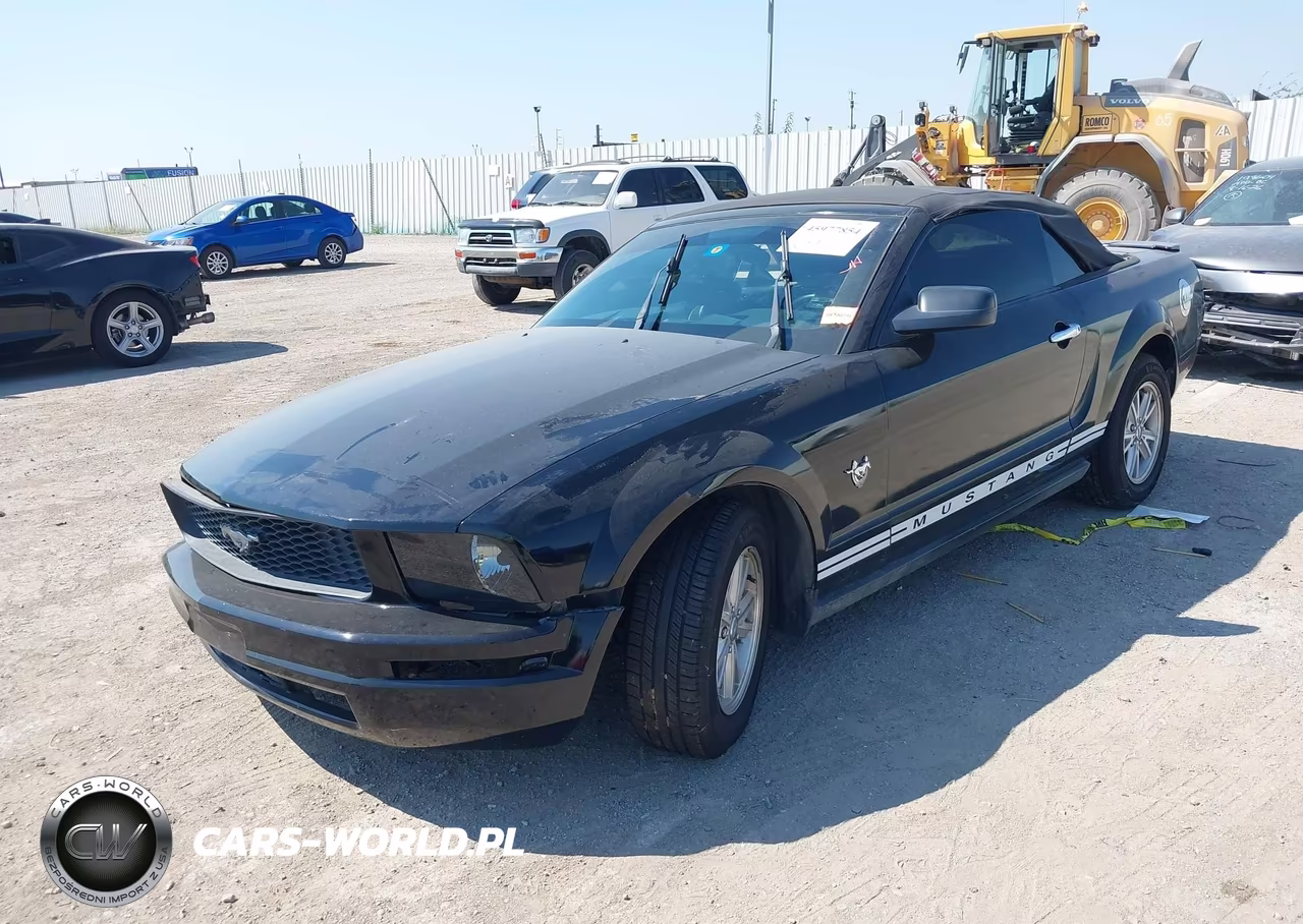 2009 Ford Mustang V6-V6 Premium VIN:1ZVHT84N195110728 - 2