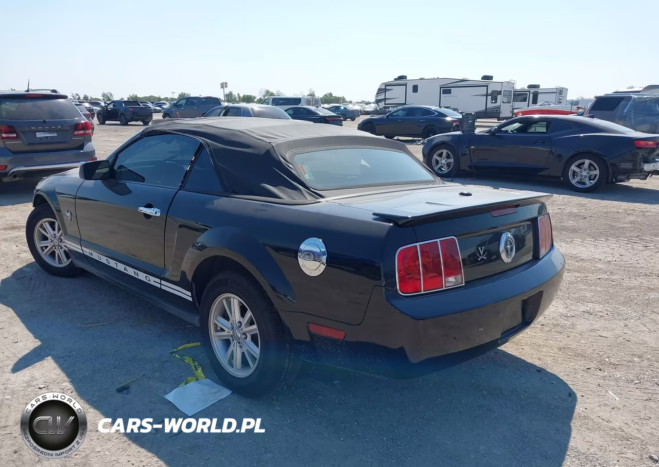 2009 Ford Mustang V6-V6 Premium VIN:1ZVHT84N195110728 - 3