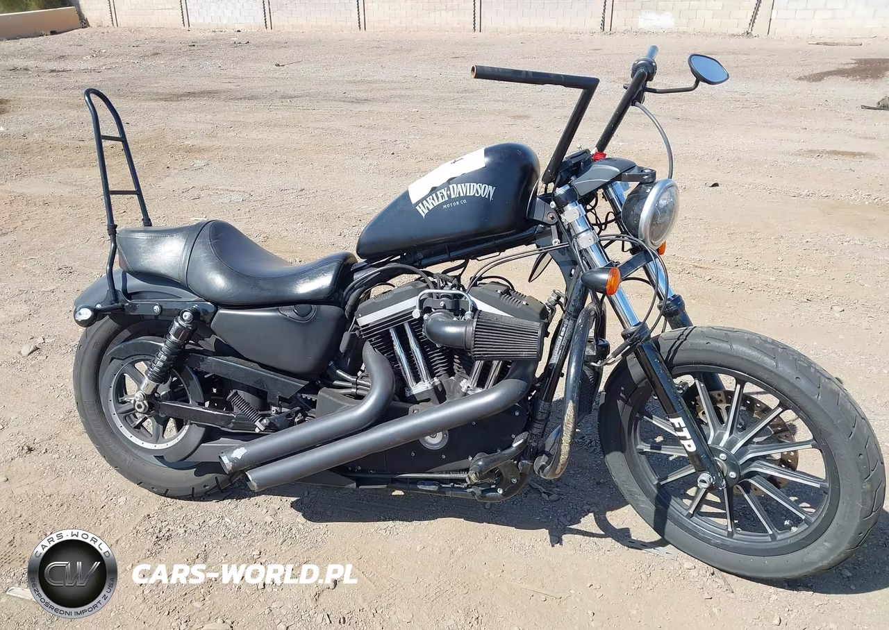2013 Harley-Davidson Xl883 Iron 883 VIN:1HD4LE232DC445579 - 12