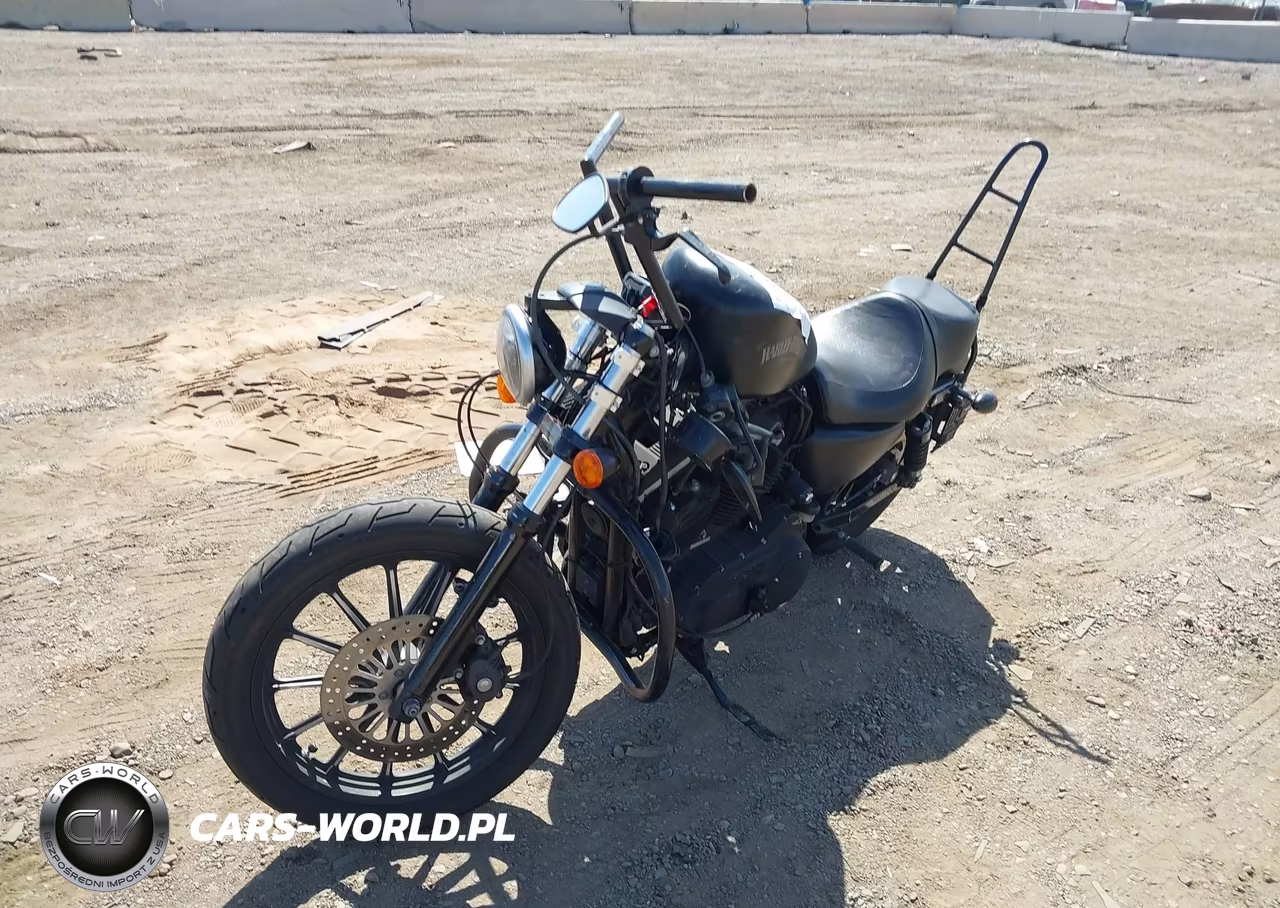 2013 Harley-Davidson Xl883 Iron 883 VIN:1HD4LE232DC445579 - 2