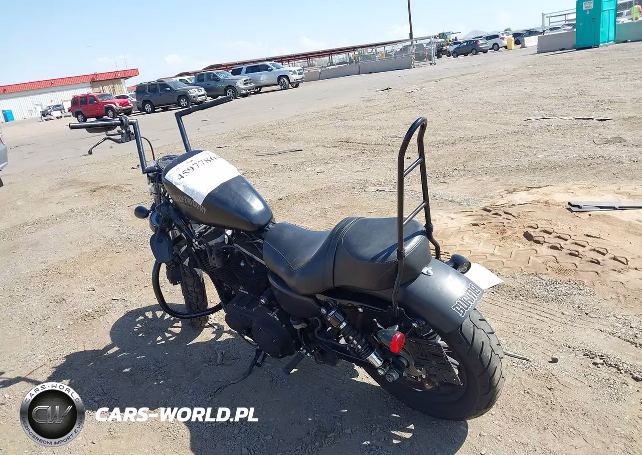2013 Harley-Davidson Xl883 Iron 883 VIN:1HD4LE232DC445579 - 3