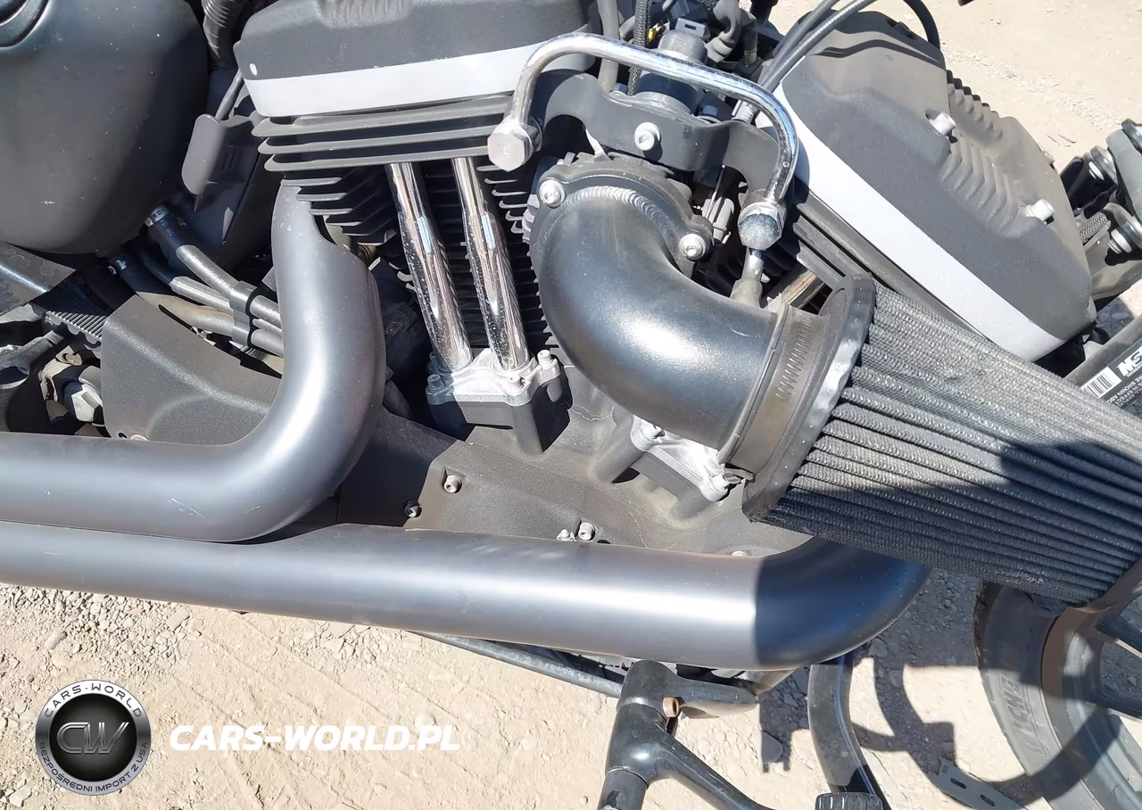 2013 Harley-Davidson Xl883 Iron 883 VIN:1HD4LE232DC445579 - 8