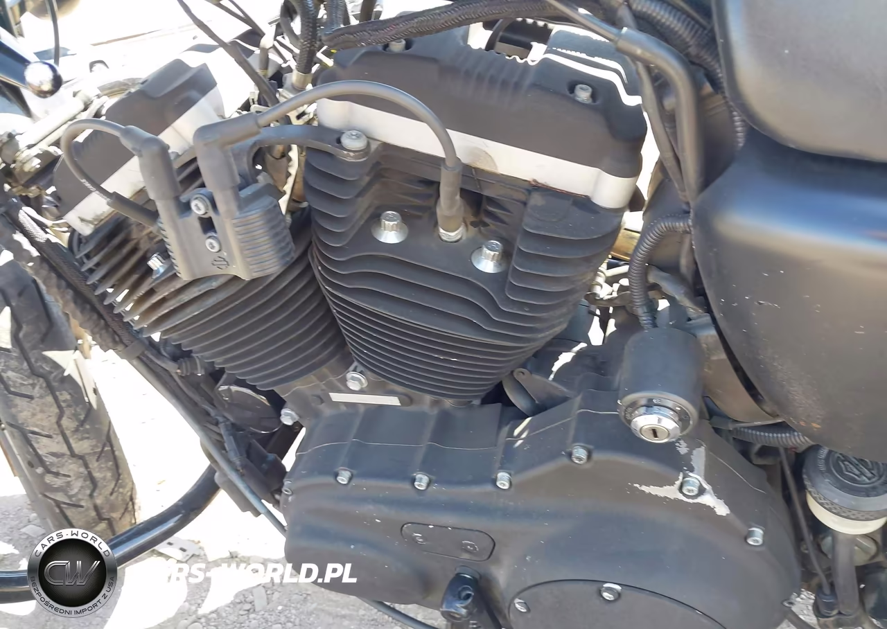 2013 Harley-Davidson Xl883 Iron 883 VIN:1HD4LE232DC445579 - 9