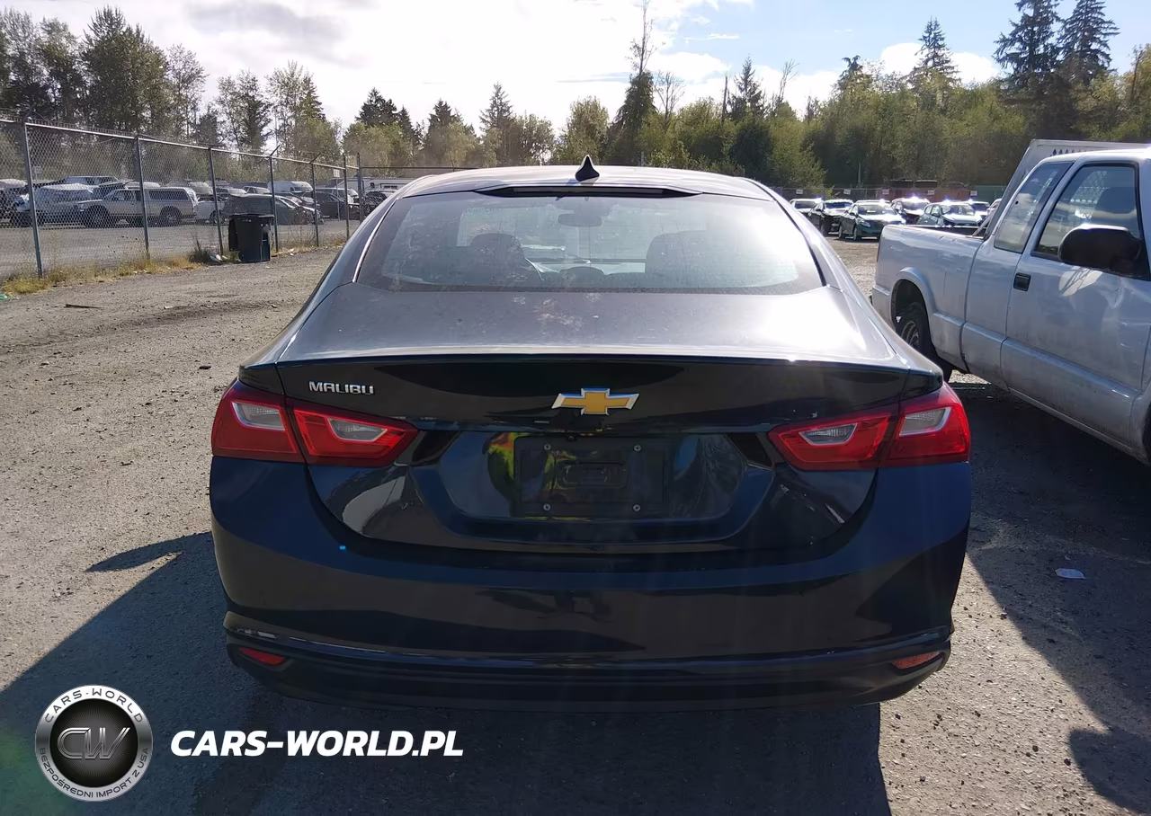 2023 Chevrolet Malibu Fwd Ls VIN:1G1ZB5ST7PF157904 - 16