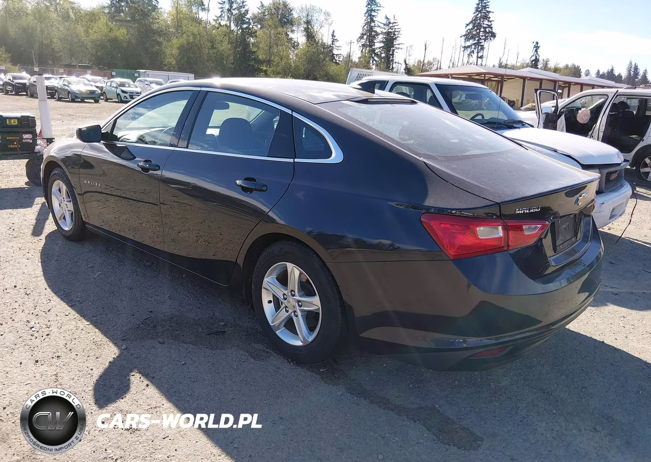 2023 Chevrolet Malibu Fwd Ls VIN:1G1ZB5ST7PF157904 - 3
