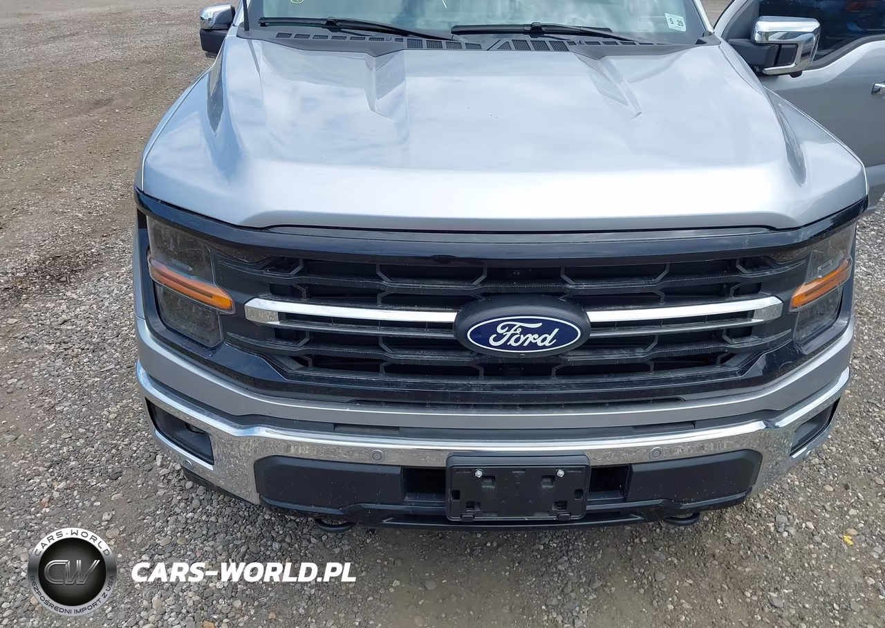 2024 Ford F-150 Xlt VIN:1FTFW3LD2RFA08491 - 6