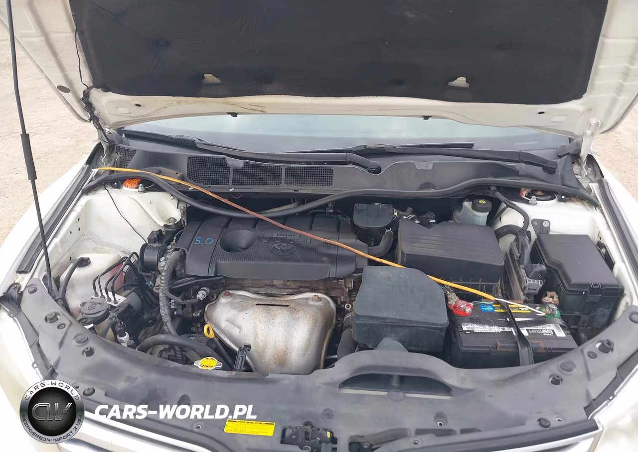 2010 Toyota Venza VIN:4T3ZA3BB3AU027579 - 10