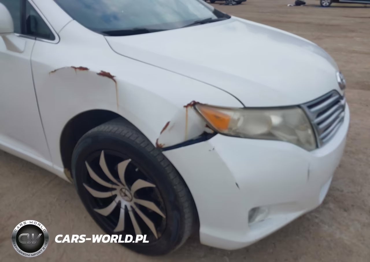 2010 Toyota Venza VIN:4T3ZA3BB3AU027579 - 6
