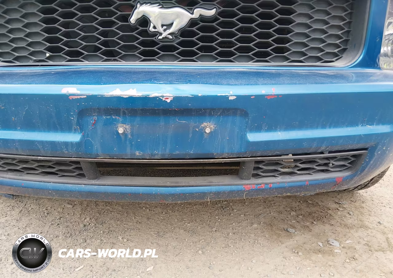 2008 Ford Mustang V6 Deluxe-V6 Premium VIN:1ZVHT84N285141095 - 12