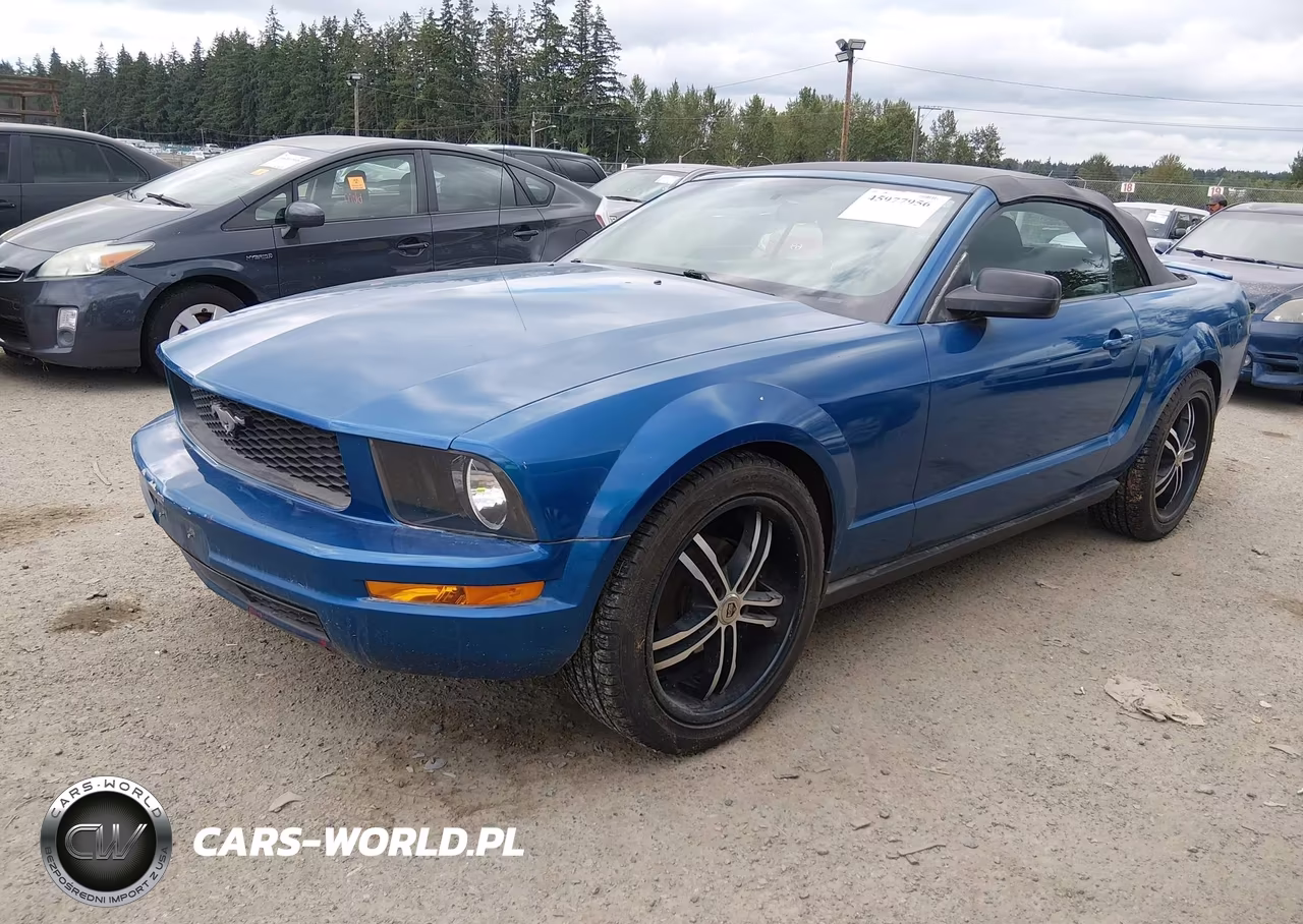 2008 Ford Mustang V6 Deluxe-V6 Premium VIN:1ZVHT84N285141095 - 2