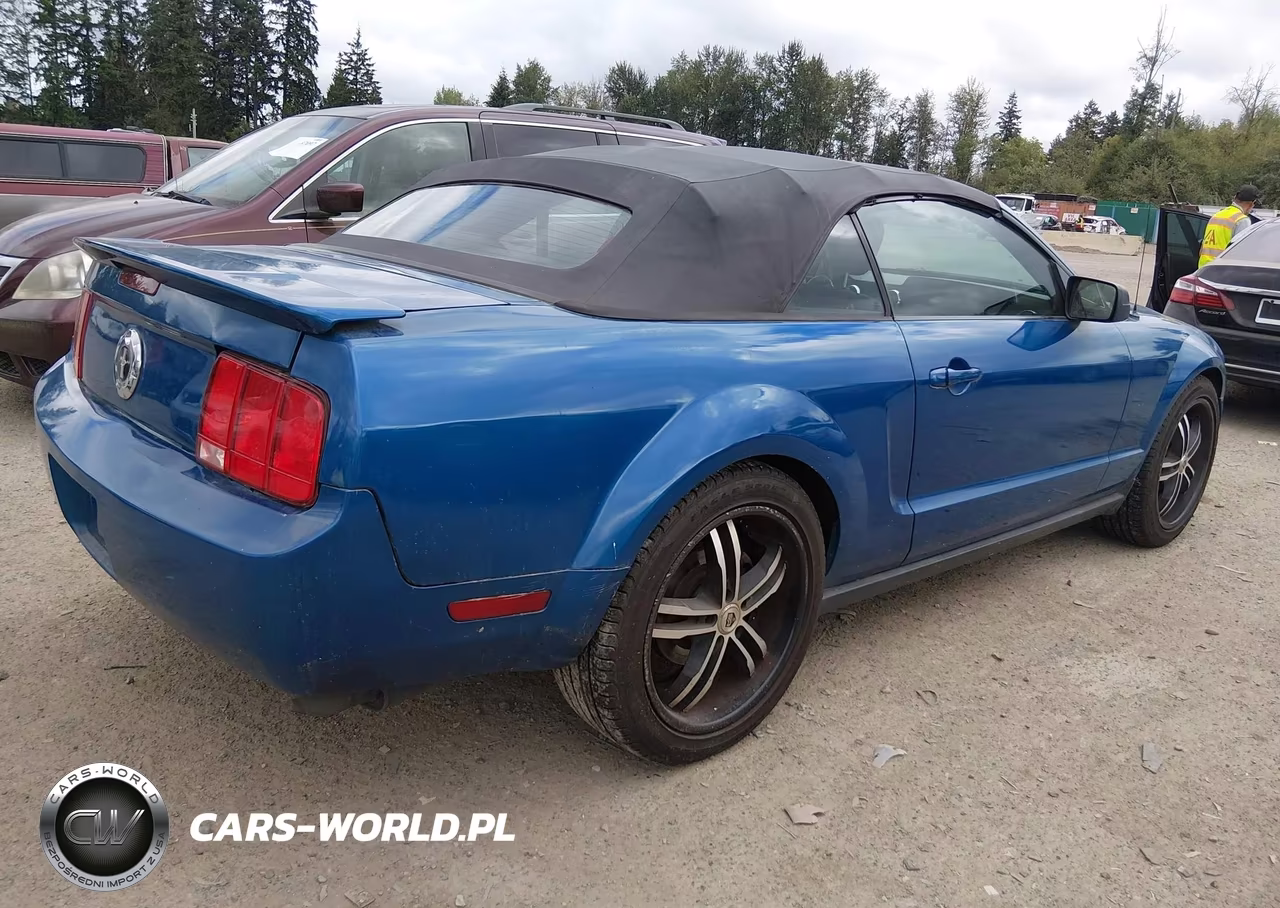 2008 Ford Mustang V6 Deluxe-V6 Premium VIN:1ZVHT84N285141095 - 4