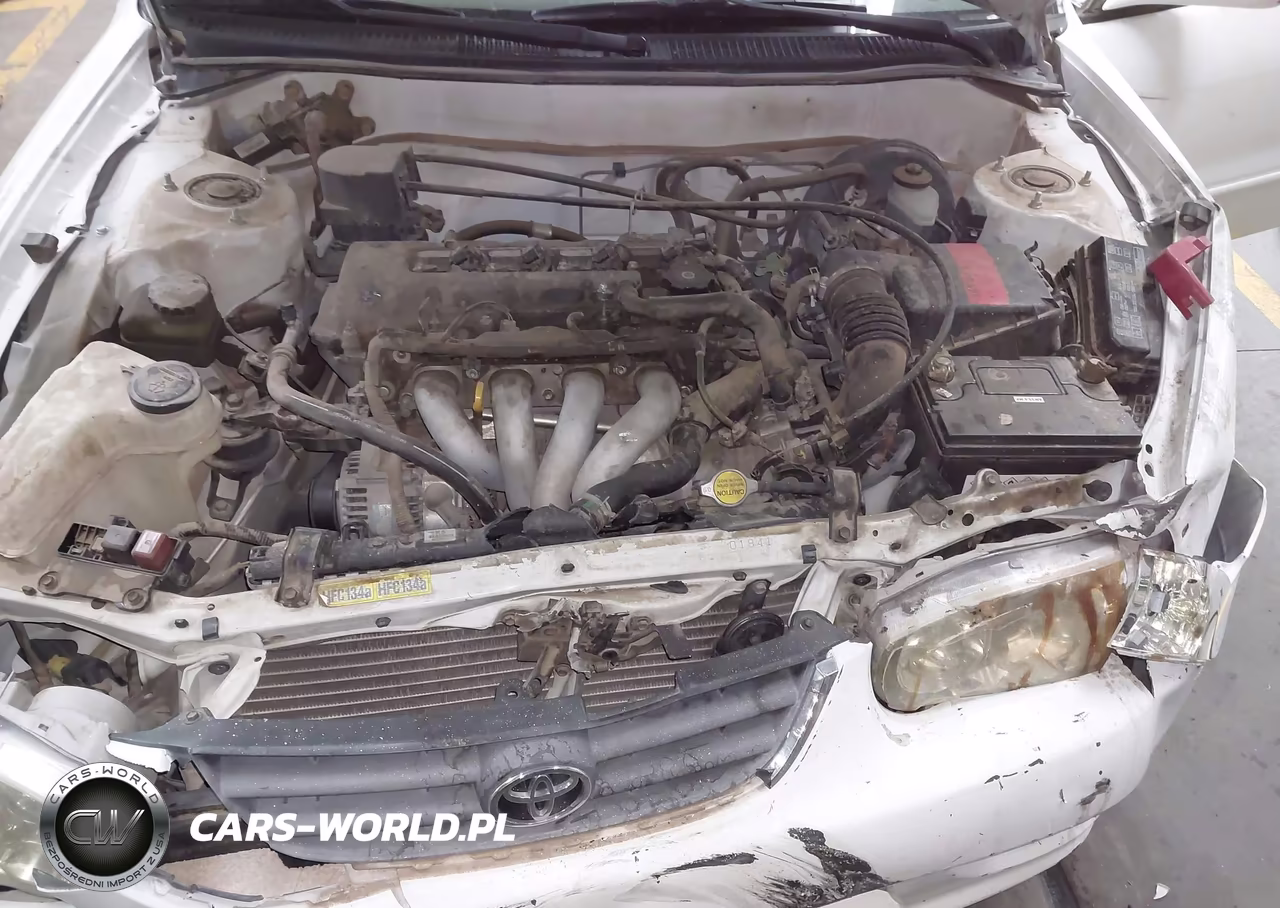 2001 Toyota Corolla Le VIN:1NXBR12EX1Z493642 - 10