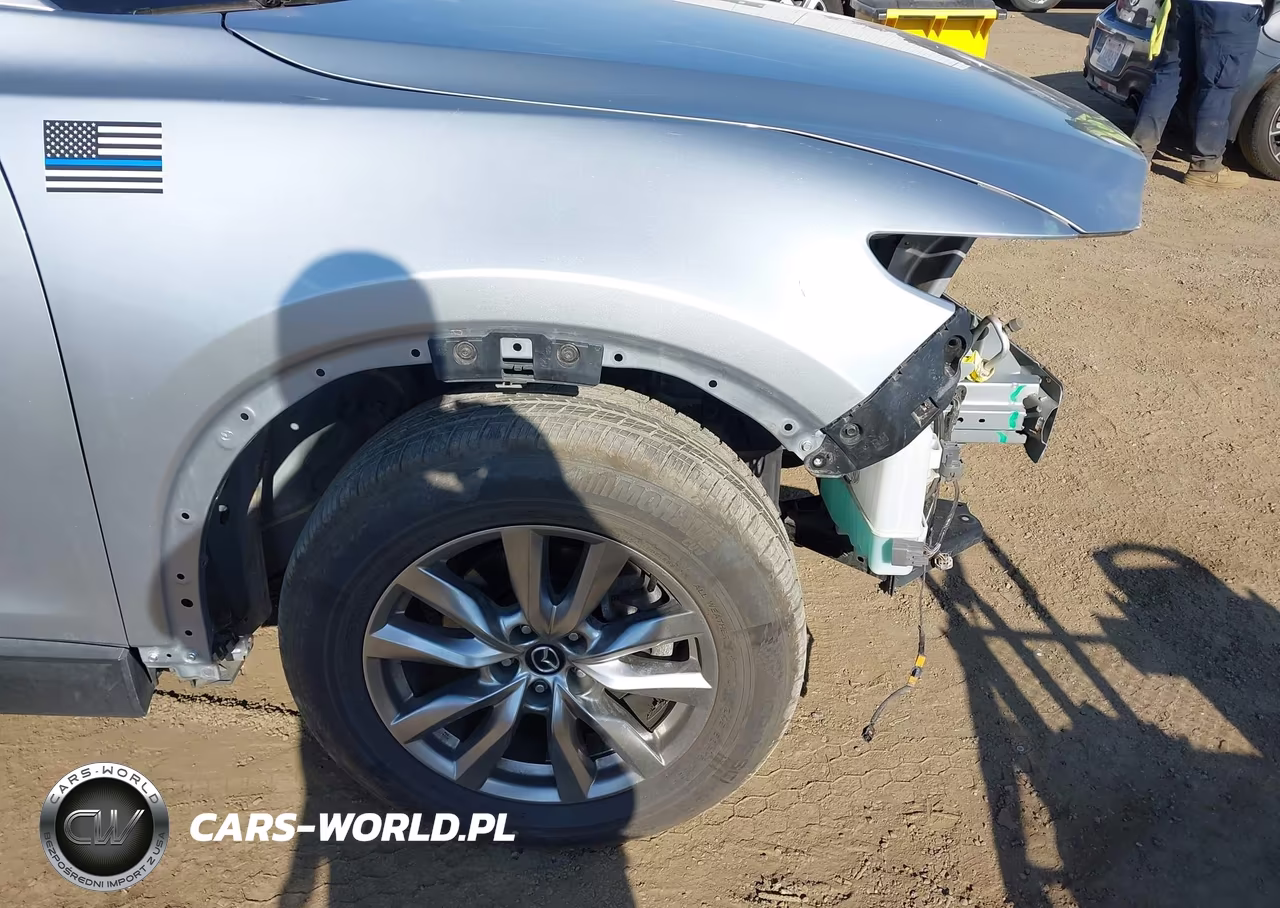 2017 Mazda Cx-9 Touring VIN:JM3TCBCY1H0141907 - 22
