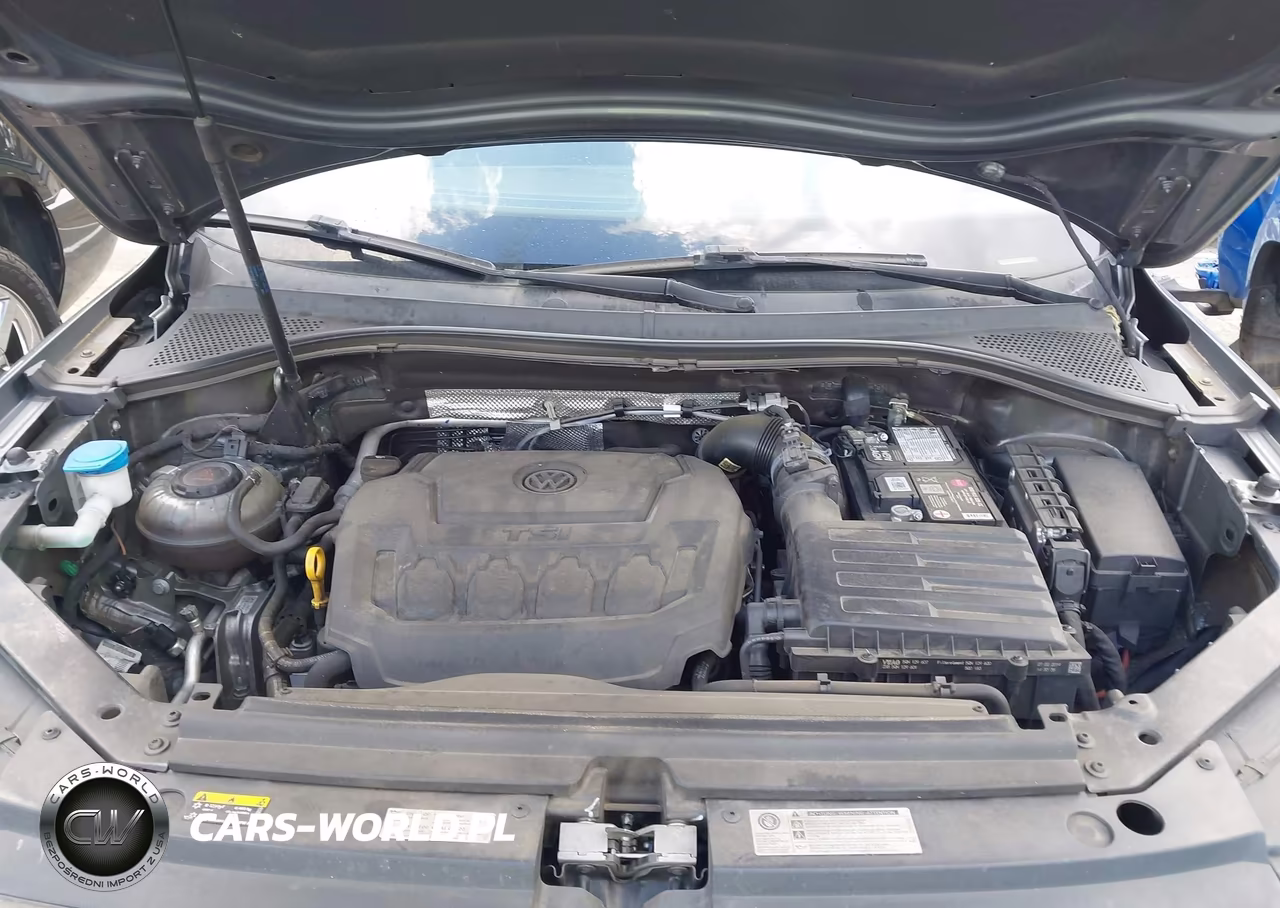 2019 Volkswagen Tiguan 2.0T S VIN:3VV1B7AX0KM108316 - 10