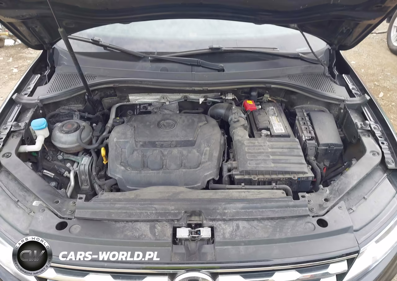 2019 Volkswagen Tiguan 2.0T S VIN:3VV1B7AX0KM149738 - 10