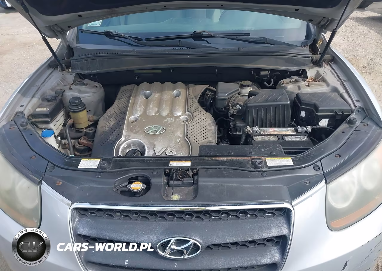 2007 Hyundai Santa Fe Gls VIN:5NMSG73D07H034722 - 10